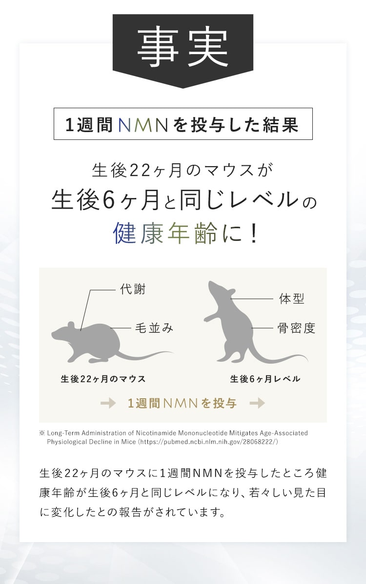 実験結果：生後22ヶ月のマウスが生後6ヶ月と同じレベルの健康年齢に