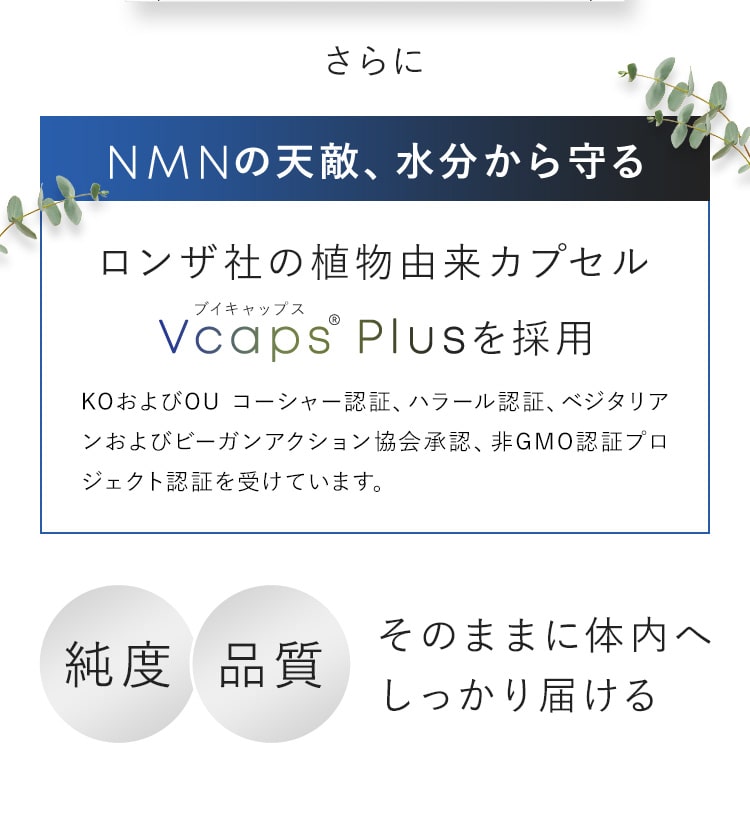 NMNの点滴、水分から守る
