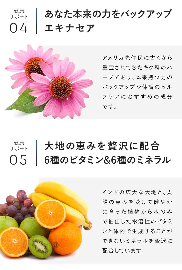 エキナセア、6種のビタミン＆ミネラル